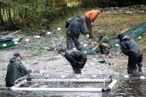 seine-pursed-up